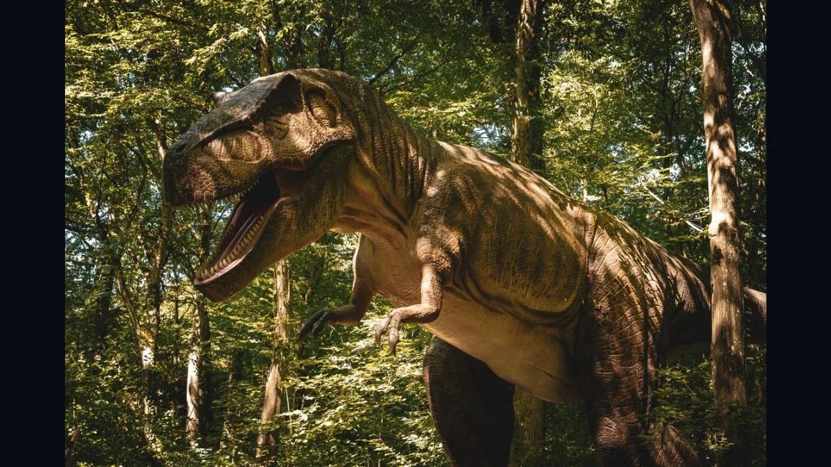 New Canadian Tyrannosaur Tromerosaurus solumons Reveals a Complicated Chapter in T. rex Evolution