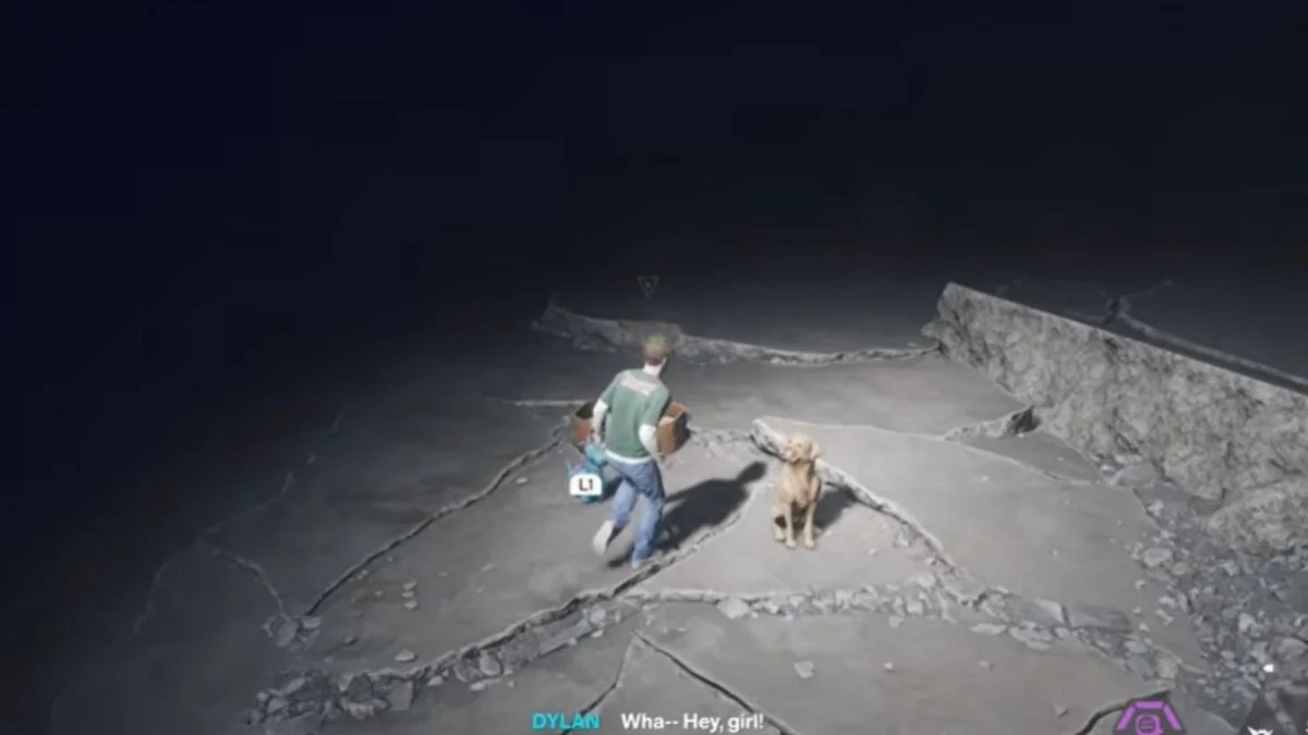 Control Resonant Every Dog Has Her Day Guide: All 7 Dog and Dragon Toy Locations