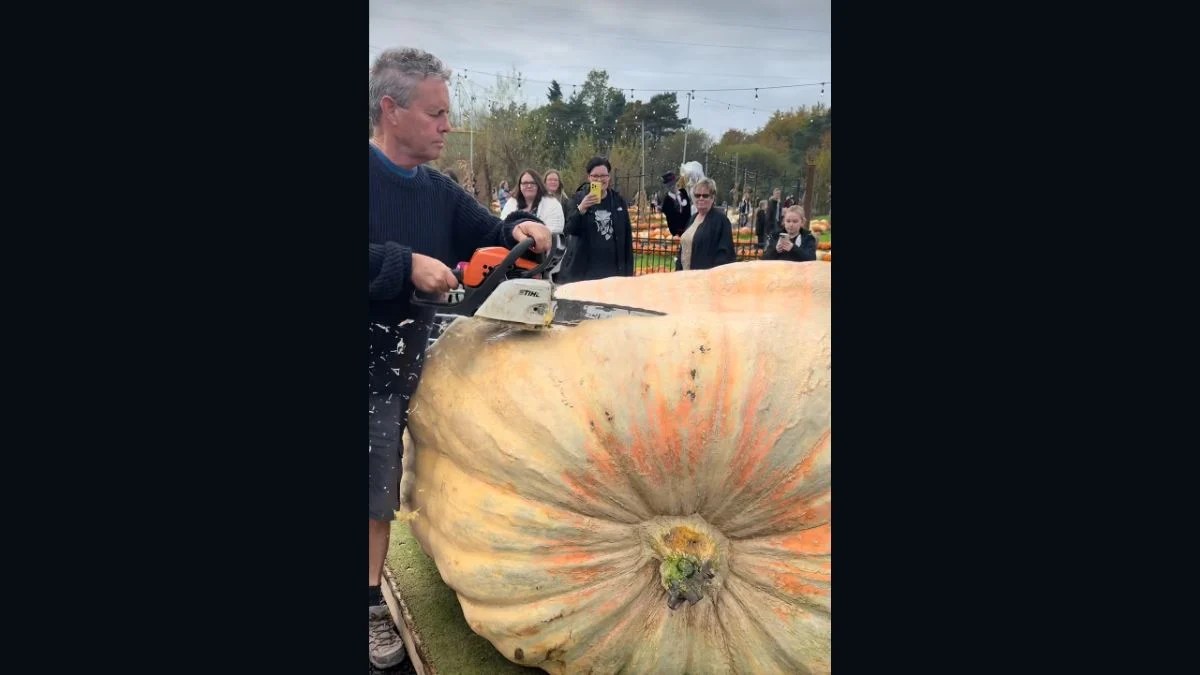 Ian Paton Breaks His Own Pumpkin World Record With 2,856.8-Pound Giant Bagheera