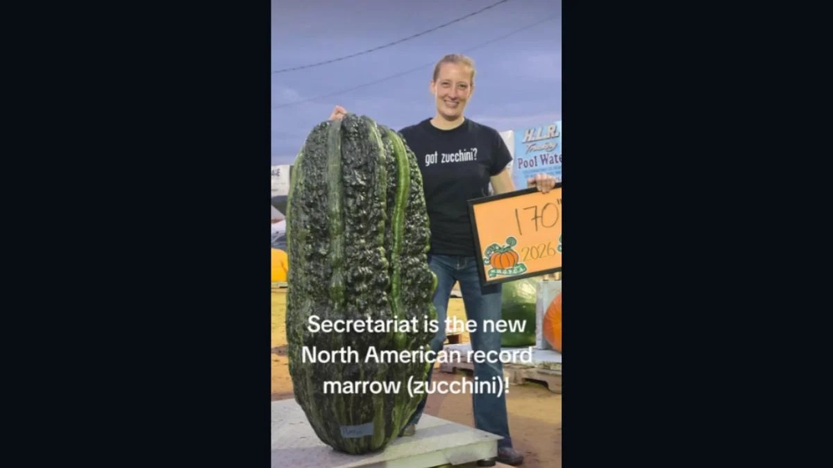 Sarah Whitty’s 170-Pound Zucchini Secretariat Reportedly Breaks North American Record After a Painful 2025 Setback
