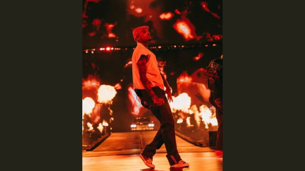 Chris Brown Dog Attack Judgment Reduced From $12.9 Million to $9.5 Million After New Court Ruling