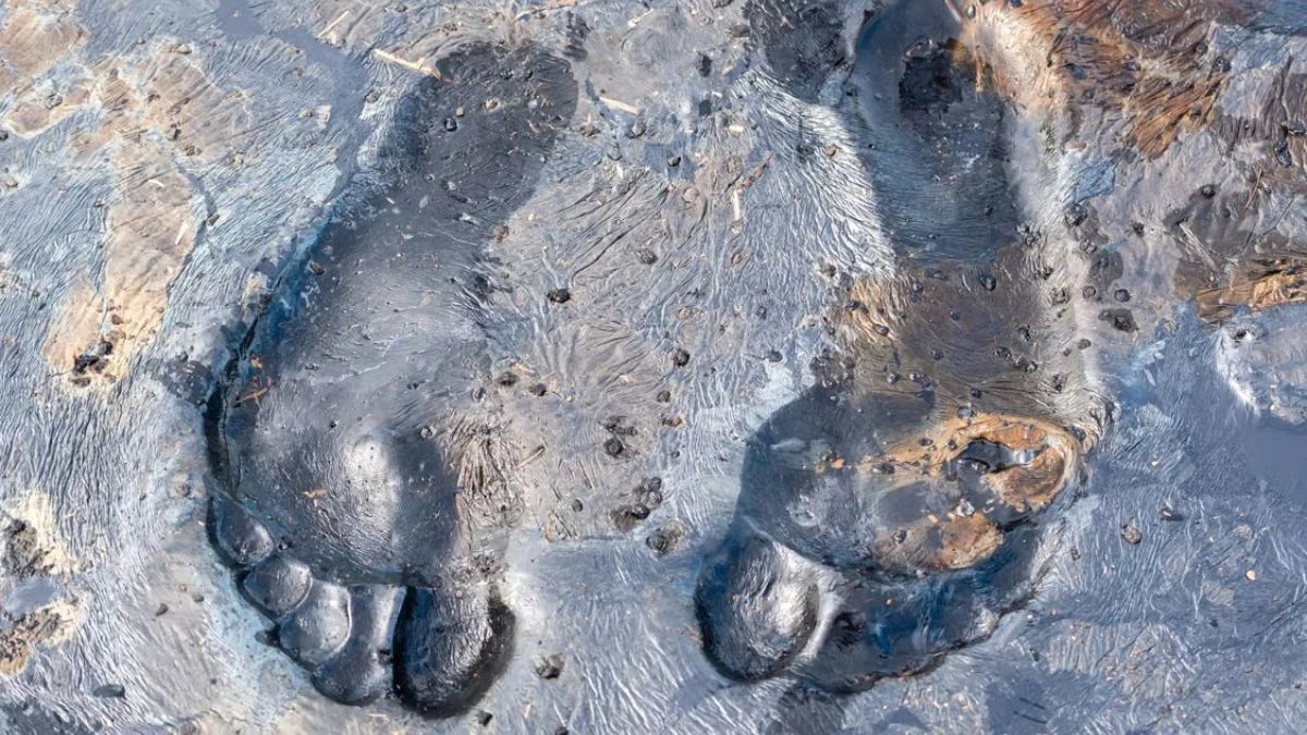 Capturing Bigfoot Documentary Claims Lost 1966 Film Reel Exposes Patterson-Gimlin Hoax