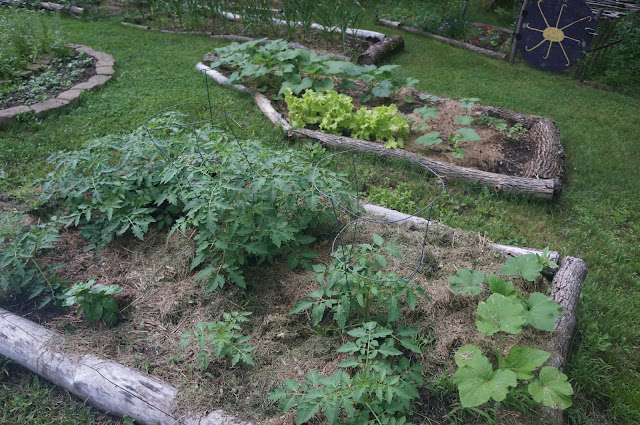 Raised Garden Beds Kits