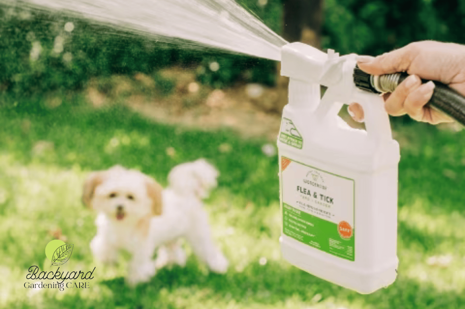 Cedarcide vs wondercide for pest control solutions: a comprehensive