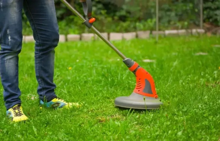 how add oil to 4 cycle weed eater