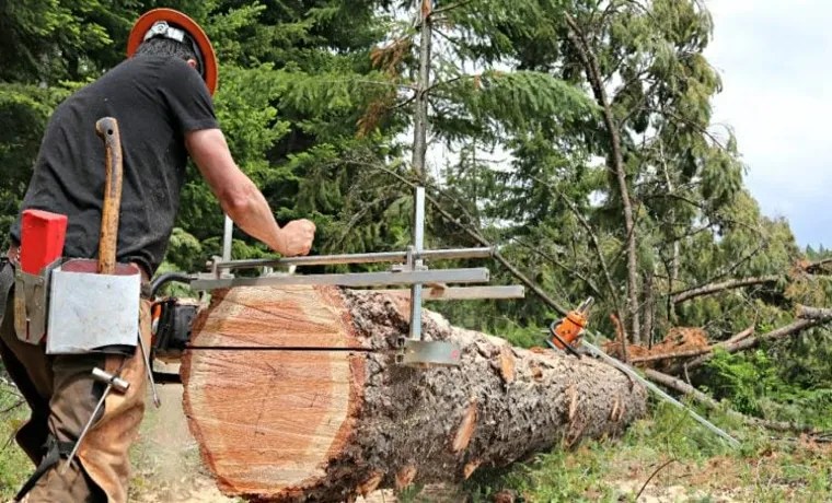 How to Use a Ladder for Chainsaw Mill: A Step-by-Step Guide how to use a ladder for chainsaw mill