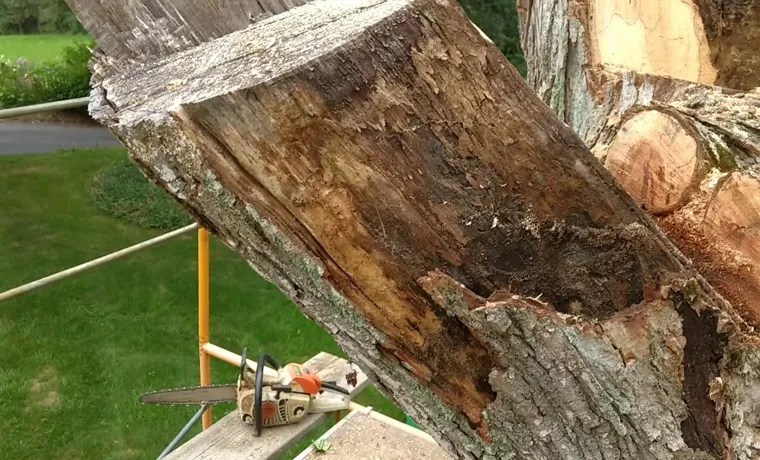 is maple hard to chainsaw mill