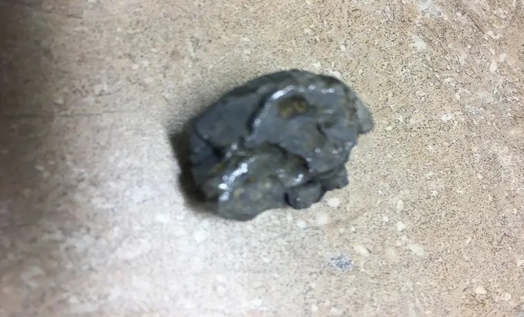 What Area is Good to Use a Metal Detector in Tyler TX? Exploring the Rich Terrain of Tyler with a Metal Detector what area is good to use a metal detector in tyler tx