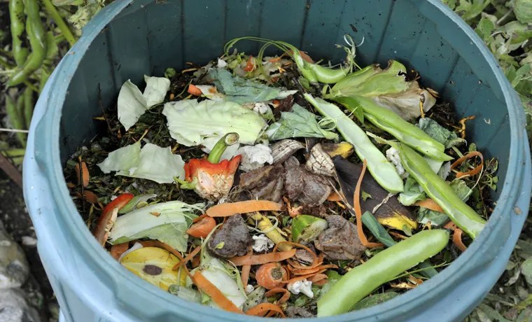 what can be added to a compost bin