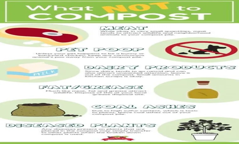 what should not go in compost bin