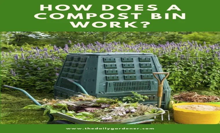 Why Do a Compost Bin? The Ultimate Guide to Benefits and How-To why do a compost bin