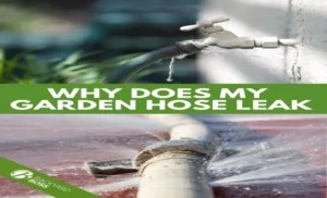 How to Stop Water Leaking from Garden Hose: 5 Effective Solutions