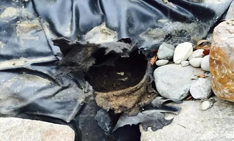 leak in pond liner how to find it