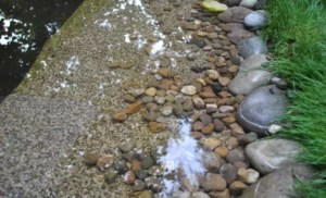 Rock How to Hide Pond Liner Edges: Tips and Techniques for a Seamless Natural Look