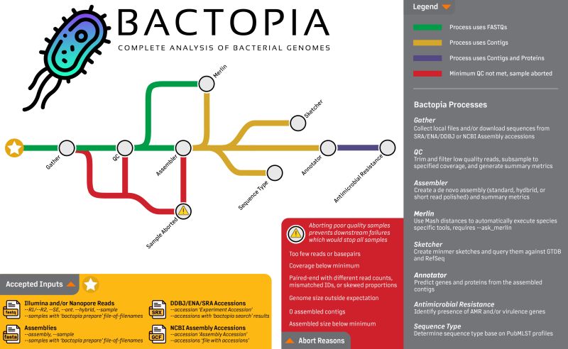 Kleborate Bactopia - Best Abstract Backgrounds in High Resolution