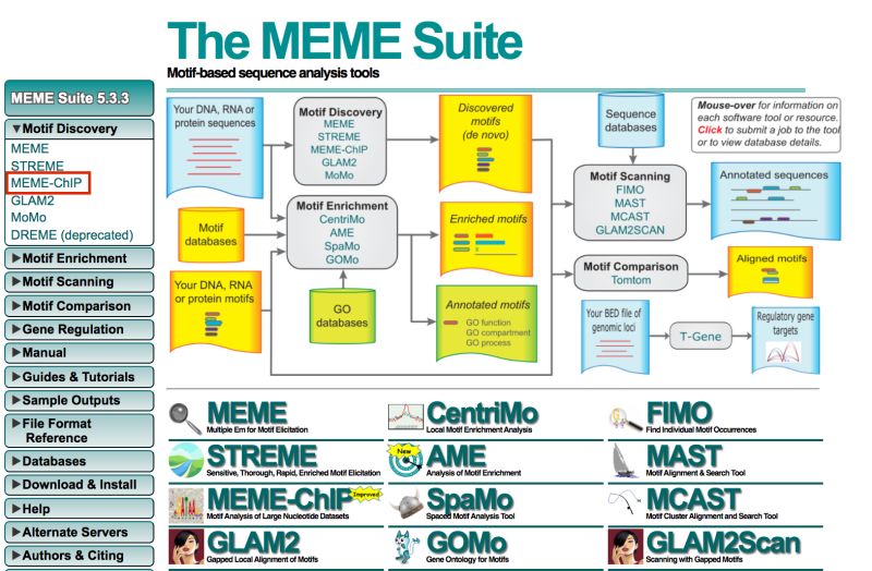 Github Cinquin Meme Meme Motif Based Sequence Analysis Tools Http - Download Modern Minimal Image | 4K
