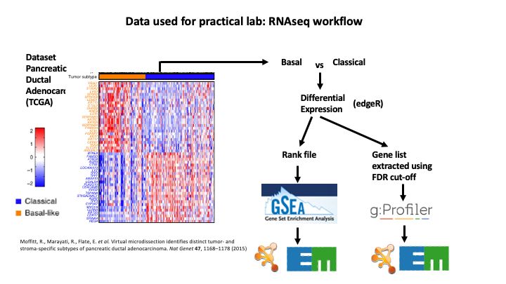 Github Bigmindlab Gsea Pipeline Workflow For Simultaneous Multiple - Elegant Light Pattern - Retina