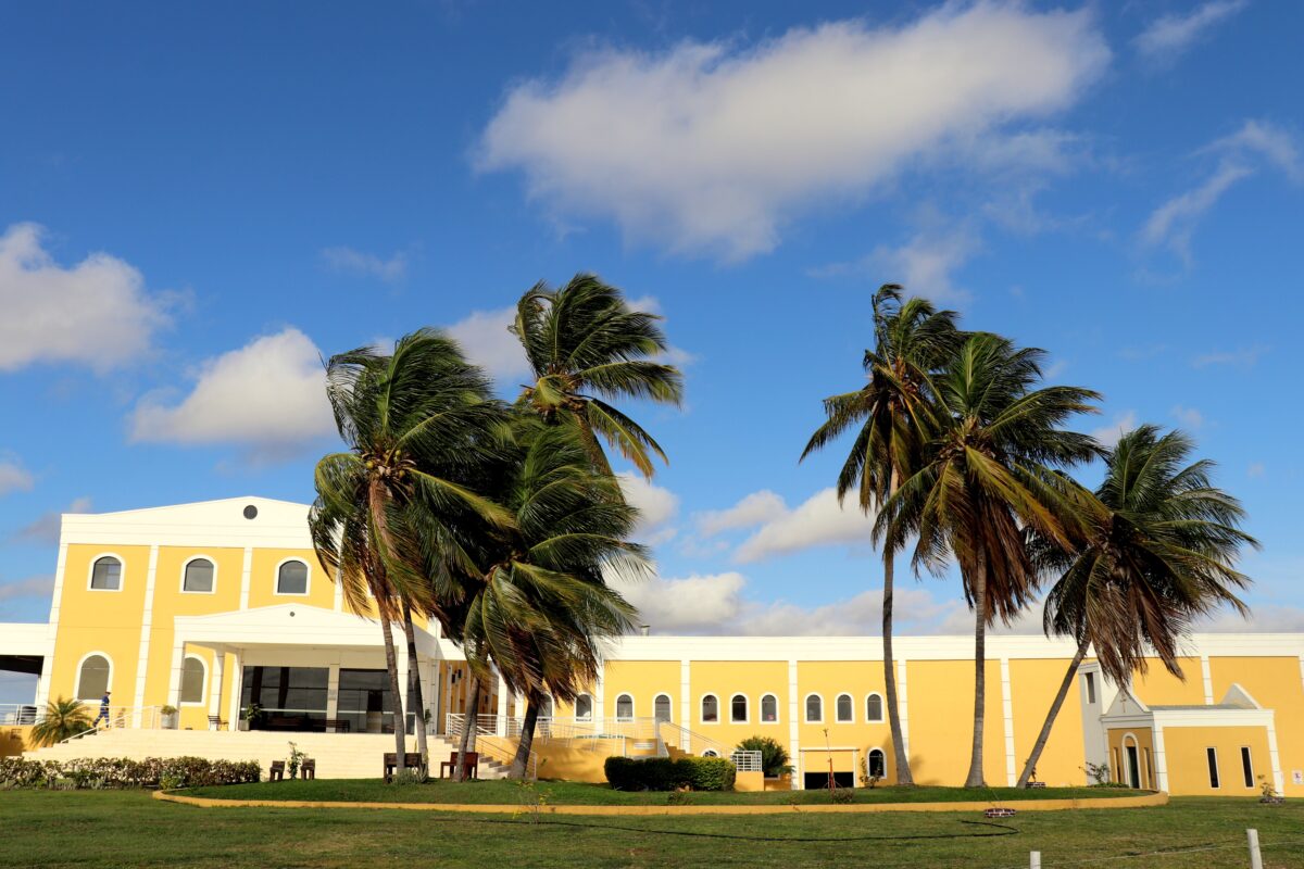 Dica de férias: enoturismo no Vale do São Francisco