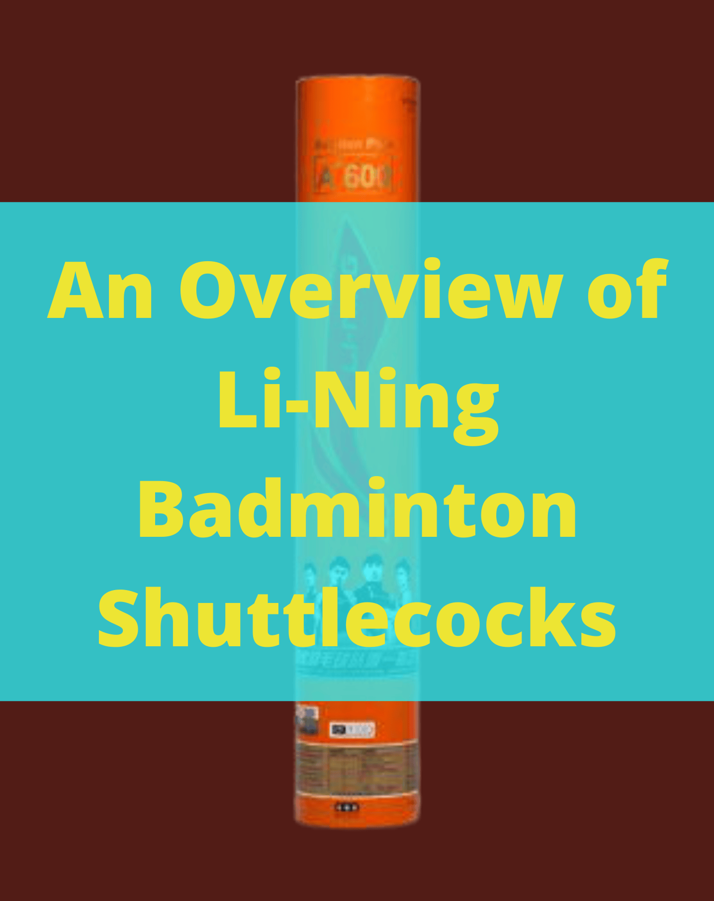 Shuttlelocks The Ultimate List of Badminton Shuttlecocks (Over 300!) - BadmintonBites