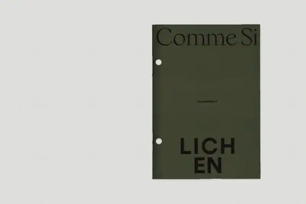 comme si lichen collaboration magazine sneak peek pages books