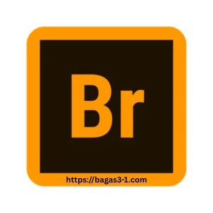 Adobe Bridge