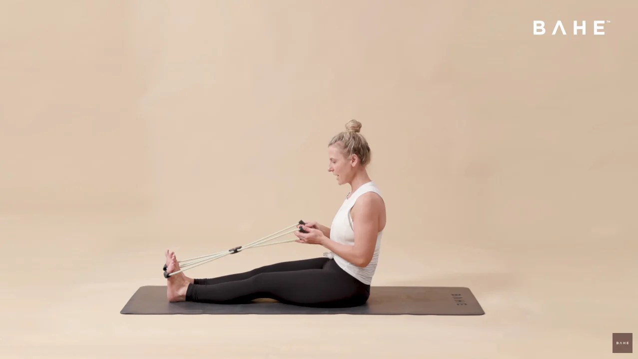 Seated Row With Rotation Exercise Bahe