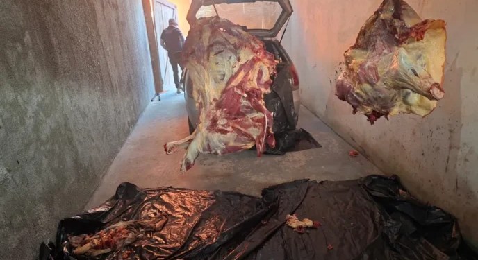 PC prende 11 por venda de carne de gado furtado no interior baiano