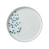 Dinner Plate Rice