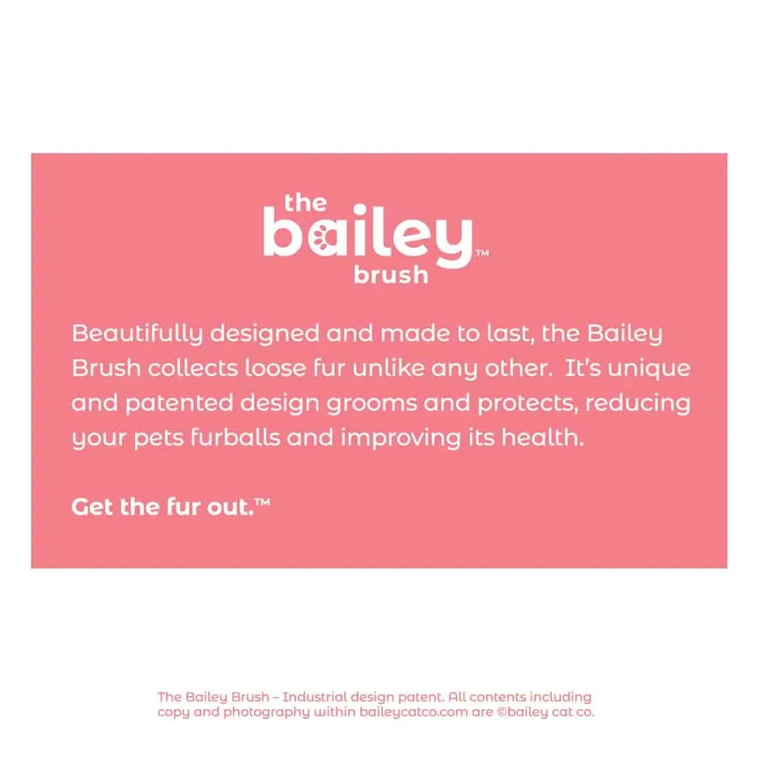 The Bailey Brush Cat Brush in Tickled Ear Pink The Bailey Cat Company