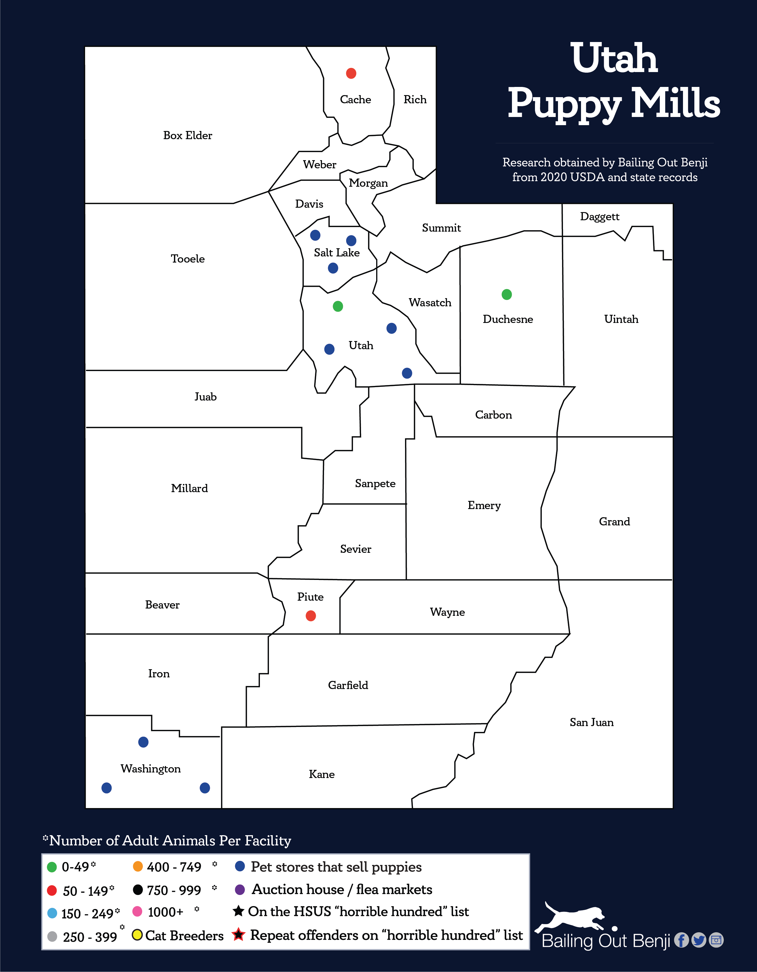 the puppy store vineyard