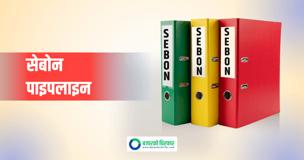 तिन कम्पनीले आईपीओ निष्काशनको अनुमति माग्दै धितोपत्र बोर्डमा दिए आवेदन, कुनको कति कित्ता ?