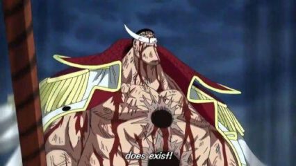 The Great One Piece Quotes Lines And Speeches Bakabuzz
