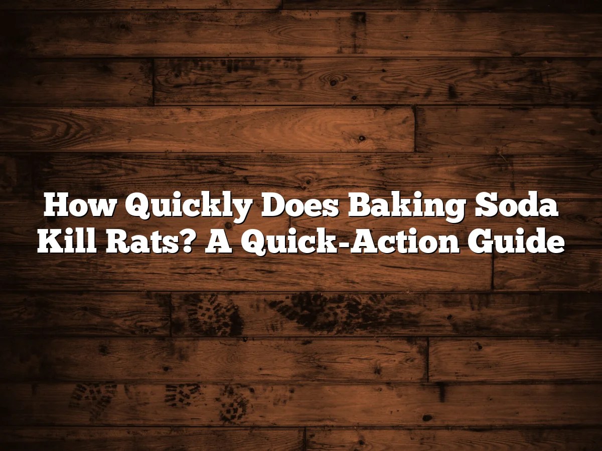 How Quickly Does Baking Soda Kill Rats? A Quick-Action Guide
