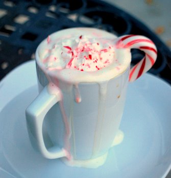 Double Chocolate Peppermint Mocha
