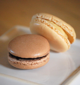 Trader Joe’s Macarons, close-up