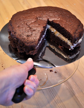 Norpro Cake Lifter