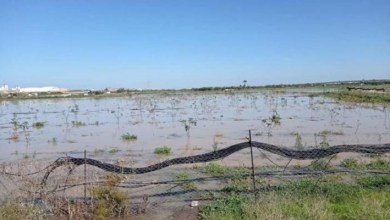 صورة الاحتلال يغرق أراضي المواطنين الزراعية شرق غزة