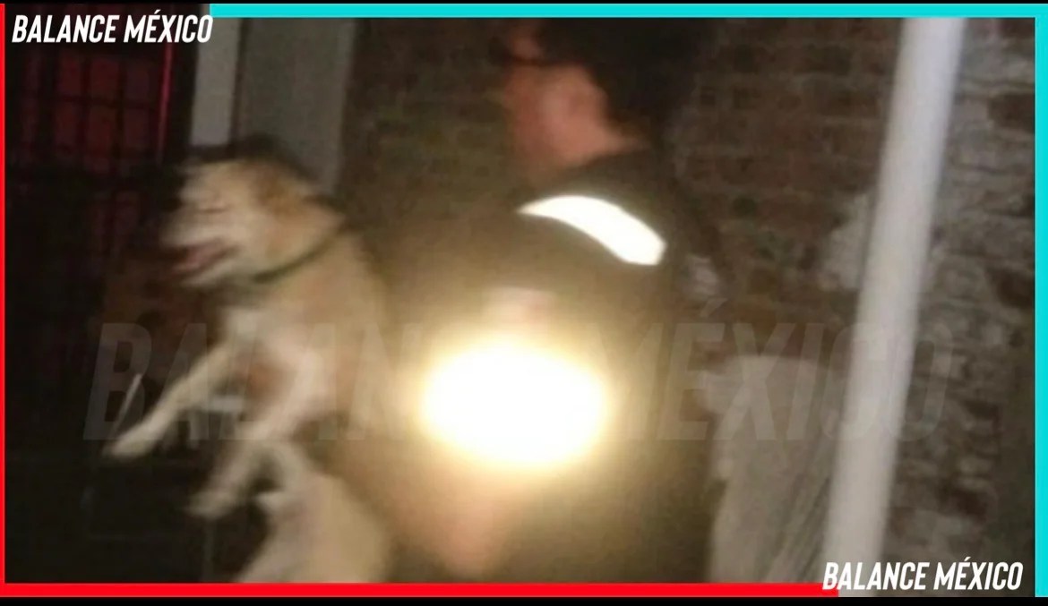 Rescatan a un perrito durante incendio de vivienda en la colonia Morelos, Tapachula 