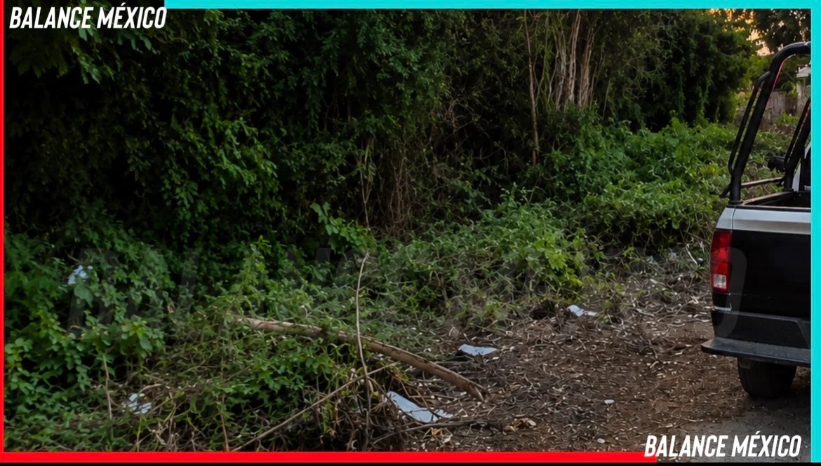Reporte por olores fétidos moviliza a policías en la colonia Xochimilco, Tapachula