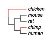Branch Label Evolview Documentation - Perfect Ultra HD Sunset Textures | Free Download