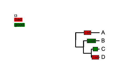 Branch Label Evolview Documentation - Creative Sunset Wallpaper - Ultra HD