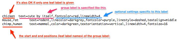 Group Label Evolview Documentation - Mountain Photos - Gorgeous 8K Collection