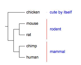 Group Label Evolview Documentation - Elegant Mountain Image - HD