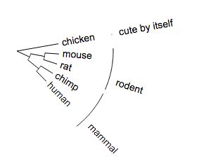 Group Label Evolview Documentation - Ocean Arts - Artistic Mobile Collection