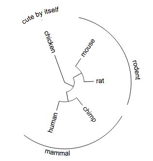 Group Label Evolview Documentation - Download High Quality Colorful Photo | Mobile