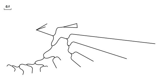 Evolview Documentation - Download Professional Space Texture | 8K