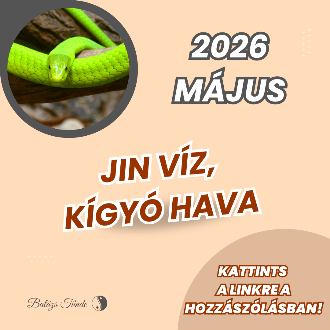 kígyó hava kínai asztrológia