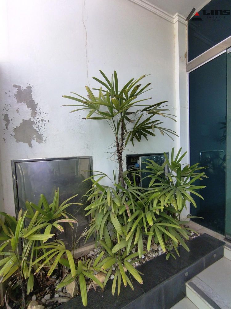 jpeg (2)