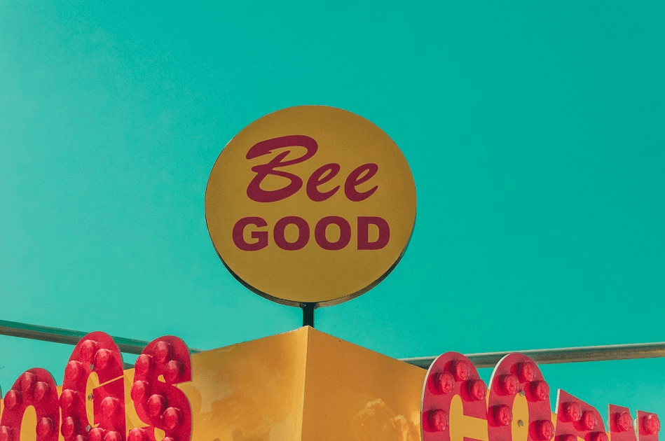 Beekeeping Basics for Beginners