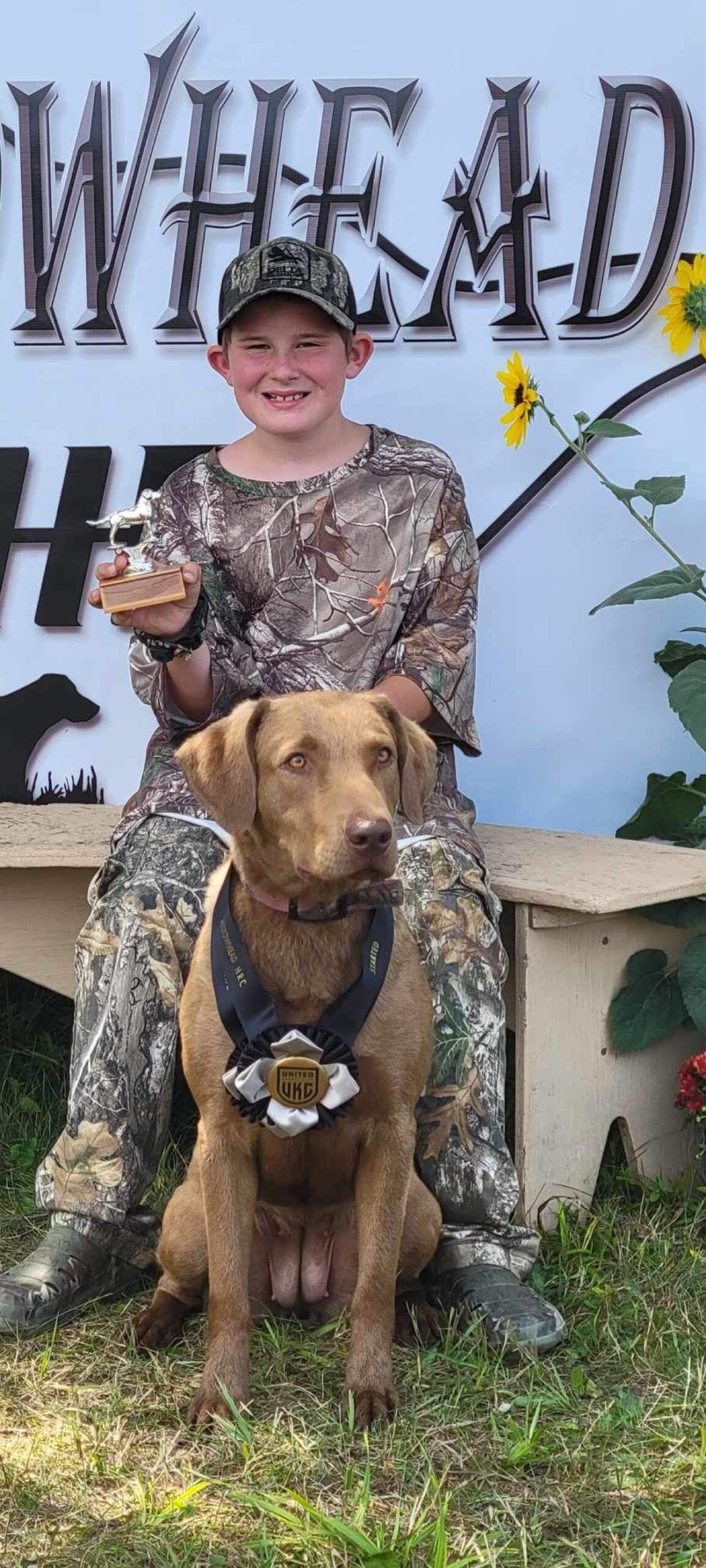 Chesapeakes Ball Bluff Kennels